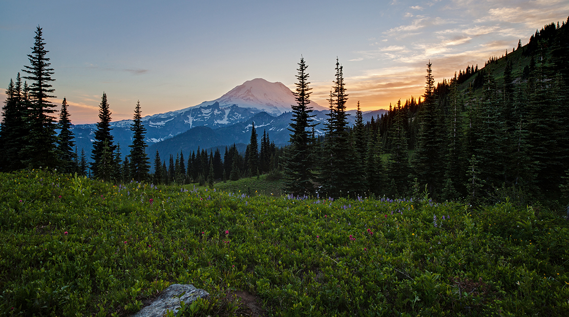 Mount Rainier Sunset Evening